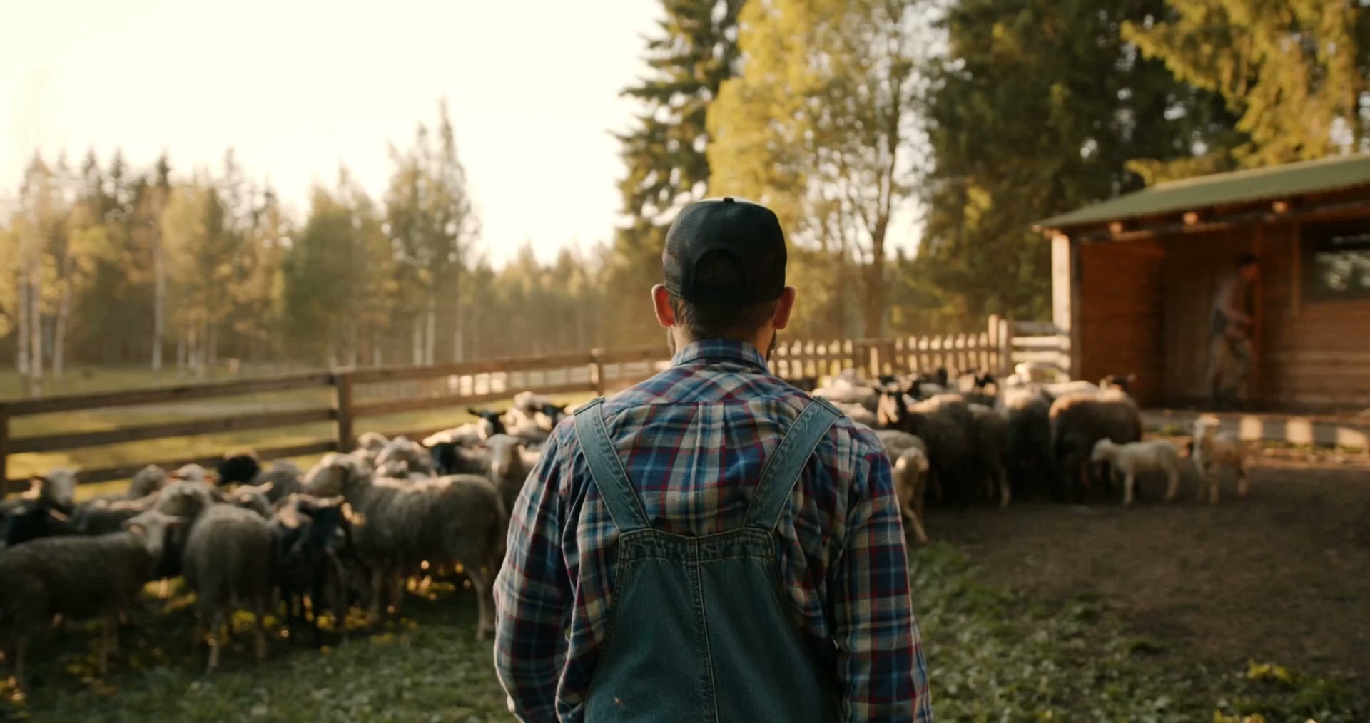 ND Fresh - Fresh Halal Meat & Fish Delivery - Buy Online -Toronto GTA 8