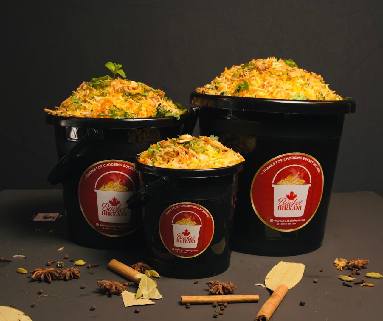 Bucket Biryani Downtown Toronto 3